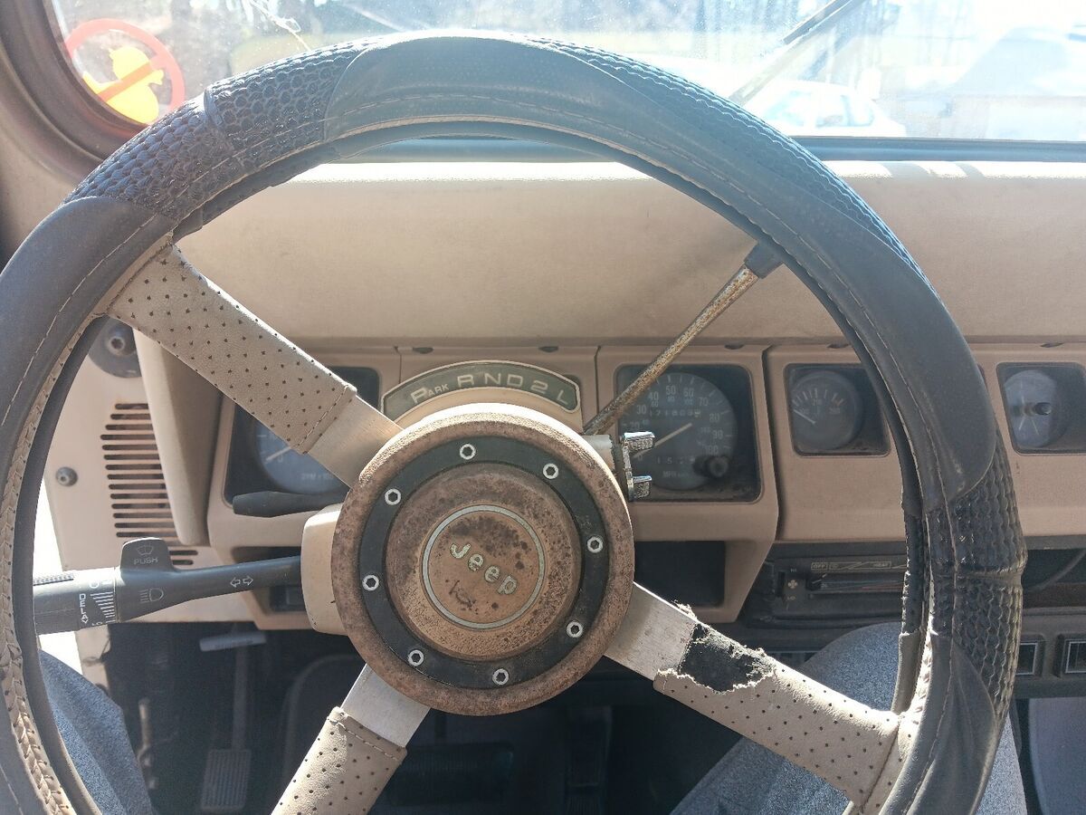 1990 Jeep Wrangler SAHARA - photo 10