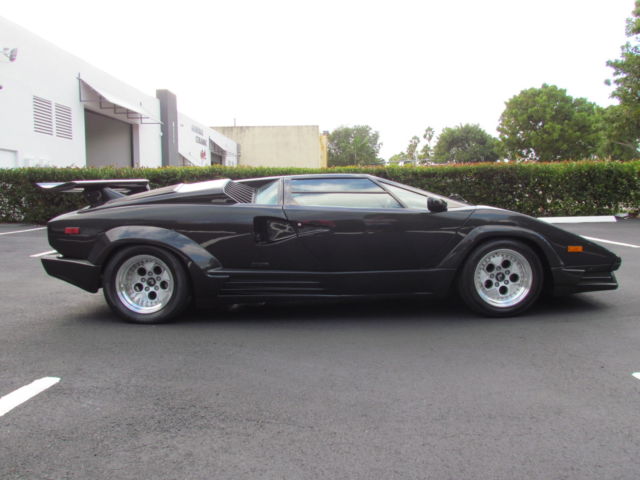 1990 Lamborghini Countach 25th anniversary - photo 8