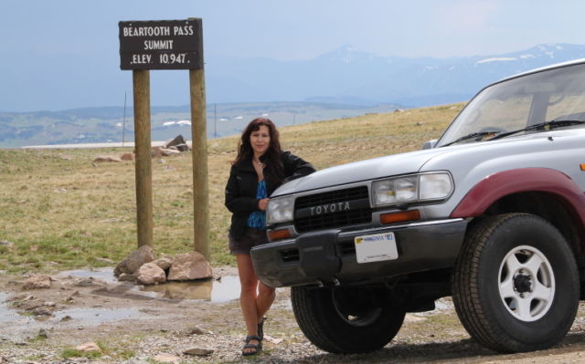 1990 Toyota Land Cruiser - photo 12