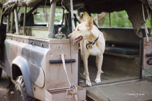 1980 Land Rover Defender - photo 5