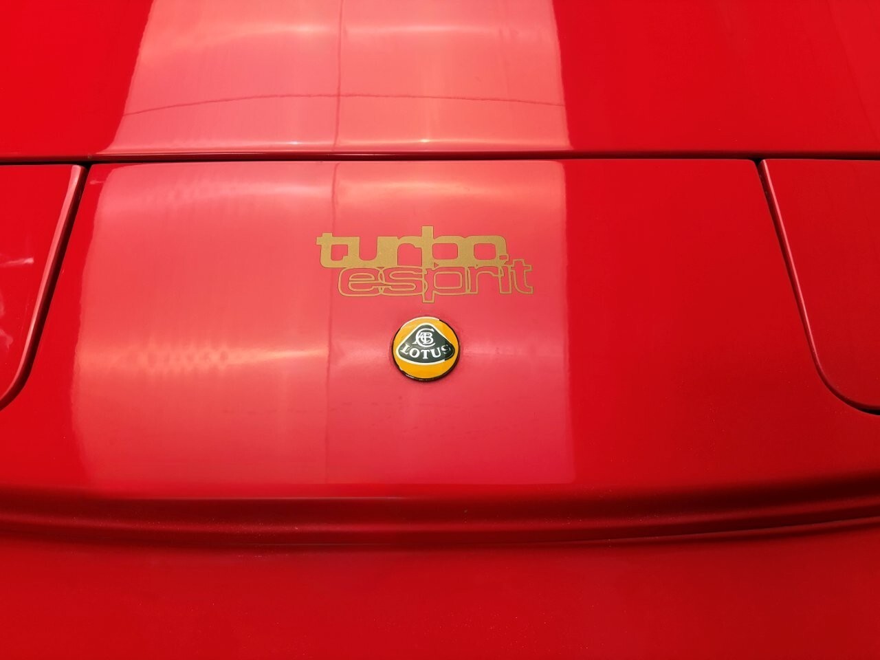 1990 Lotus Esprit SE - photo 9