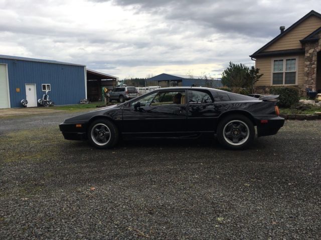1990 Lotus Esprit - photo 4
