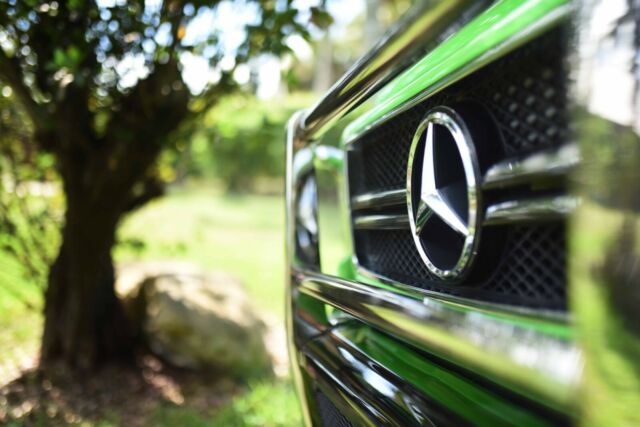 1990 Mercedes-Benz G-Class G 300 TD - photo 3