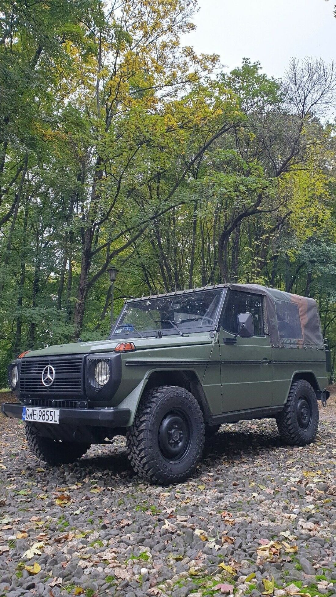 1990 Mercedes-Benz 250GD wolf SUV Green 4WD Manual Soft top NEW ENGINE G-class 1990 Mercedes-Benz G-Class