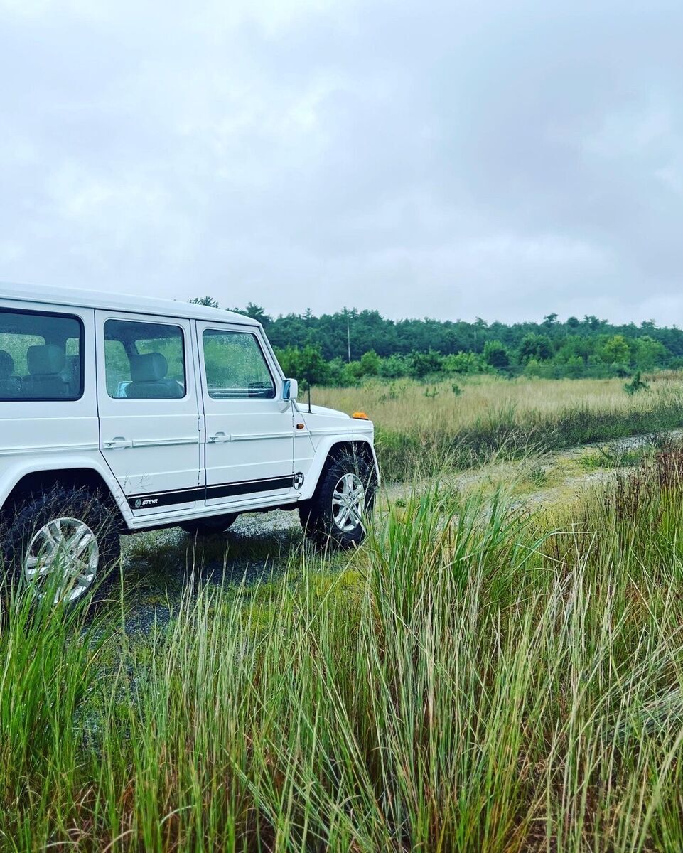 1990 Mercedes-Benz G-Class Puch - photo 2