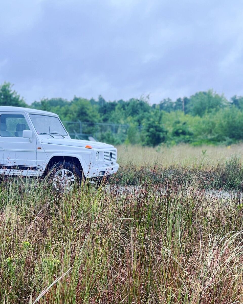 1990 Mercedes-Benz G-Class Puch - photo 3