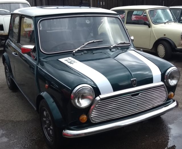 1990 Mini Classic Mini - photo 13