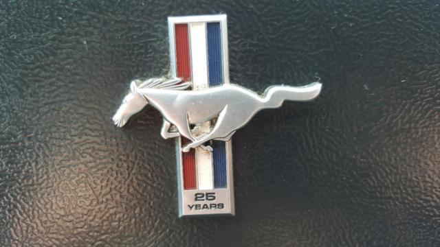 1990 Ford Mustang GT 25th Anniversary Edition - photo 10