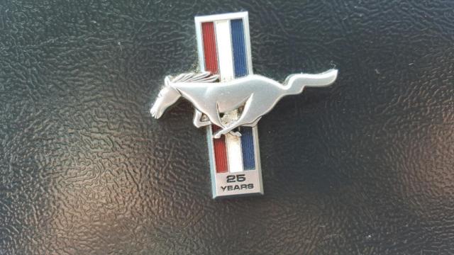 1990 Ford Mustang GT 25th Anniversary Edition - photo 9