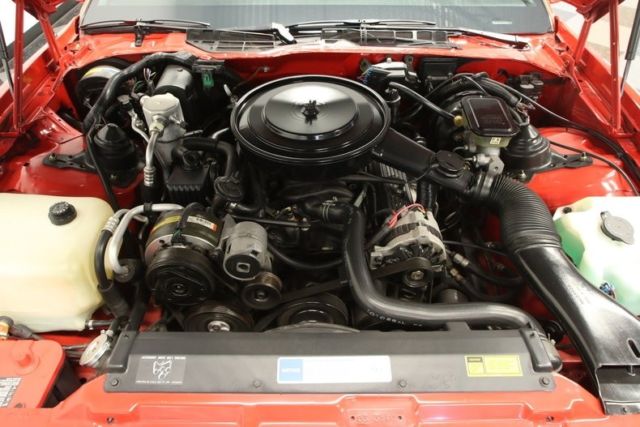 1990 Pontiac Firebird Bandit II - photo 4
