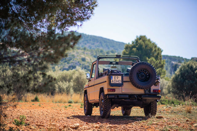 1990 Mercedes-Benz G-Class Steyr-Puch 230GE - photo 6