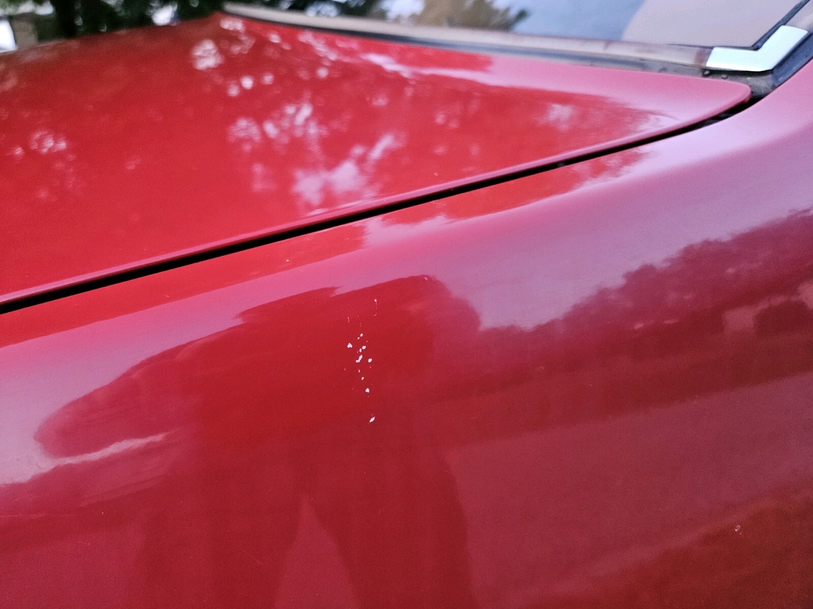 1990 Saab 900 - photo 6
