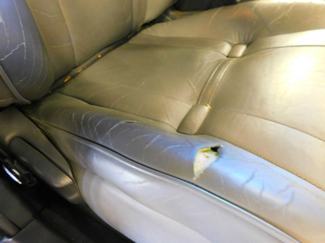 1990 Toyota Cressida N/A - photo 9