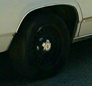 1991 Ford Crown Victoria Interceptor - photo 13