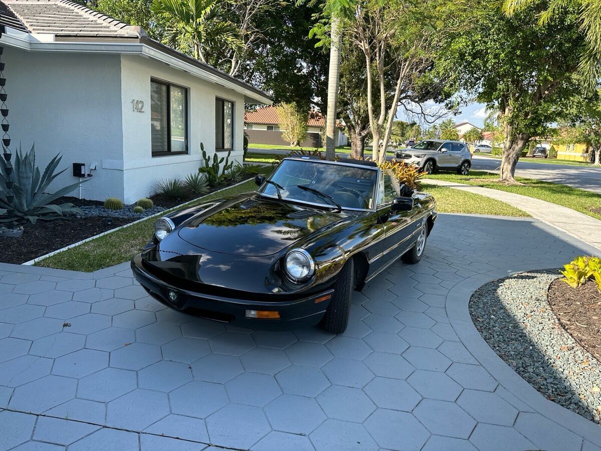 1991 Alfa Romeo Spider - photo 3