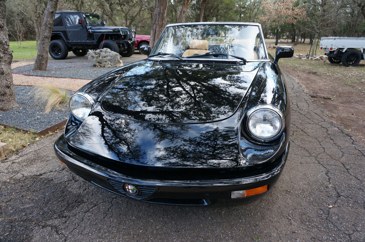 1991 Alfa Romeo Spider - photo 2