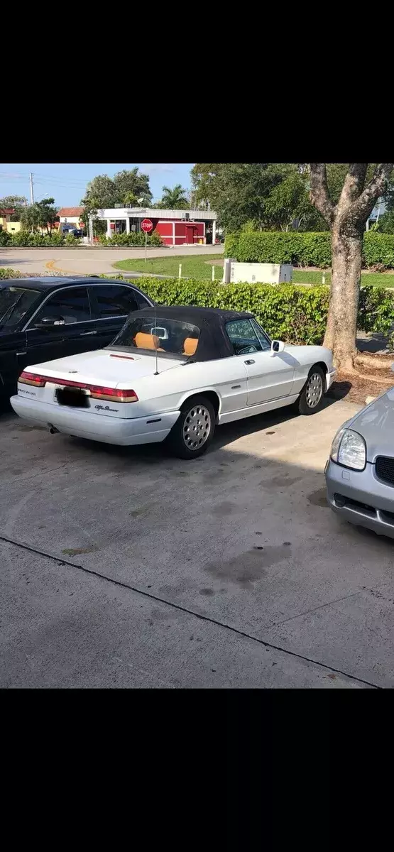 1991 Alfa Romeo Spider VELOCE