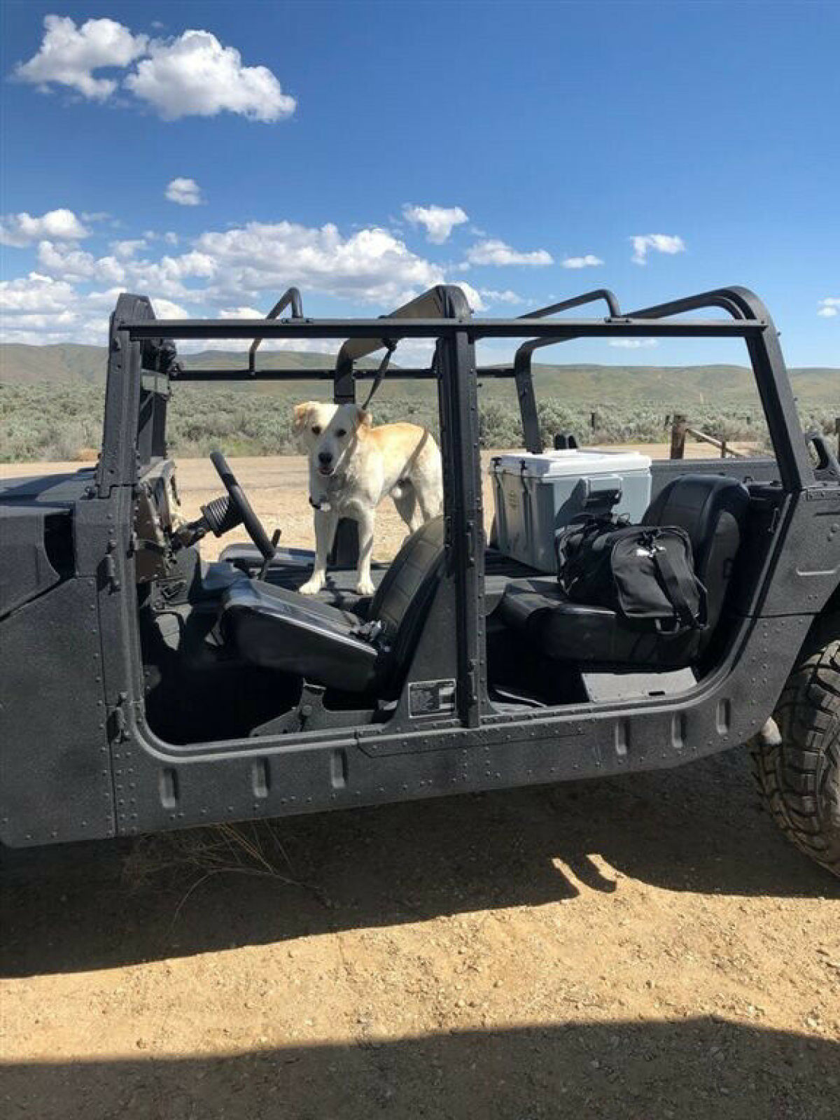 1991 Hummer H1 - photo 11