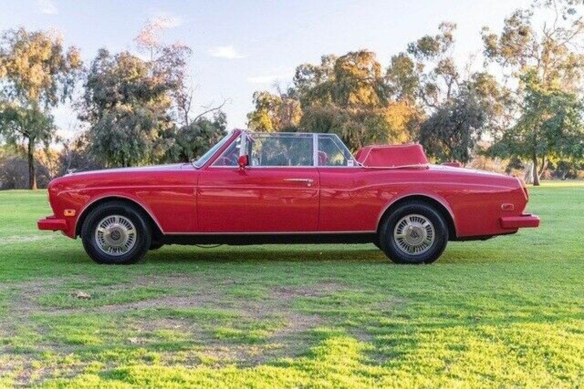 1991 Bentley Continental - photo 5
