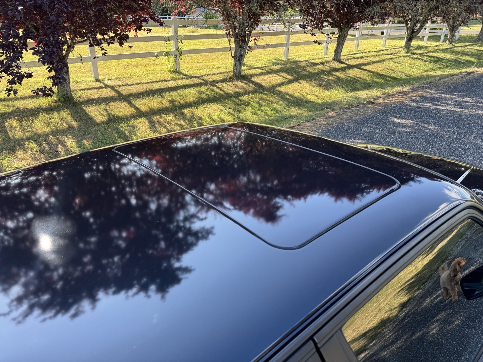 1991 BMW 3 Series 318IS - photo 9