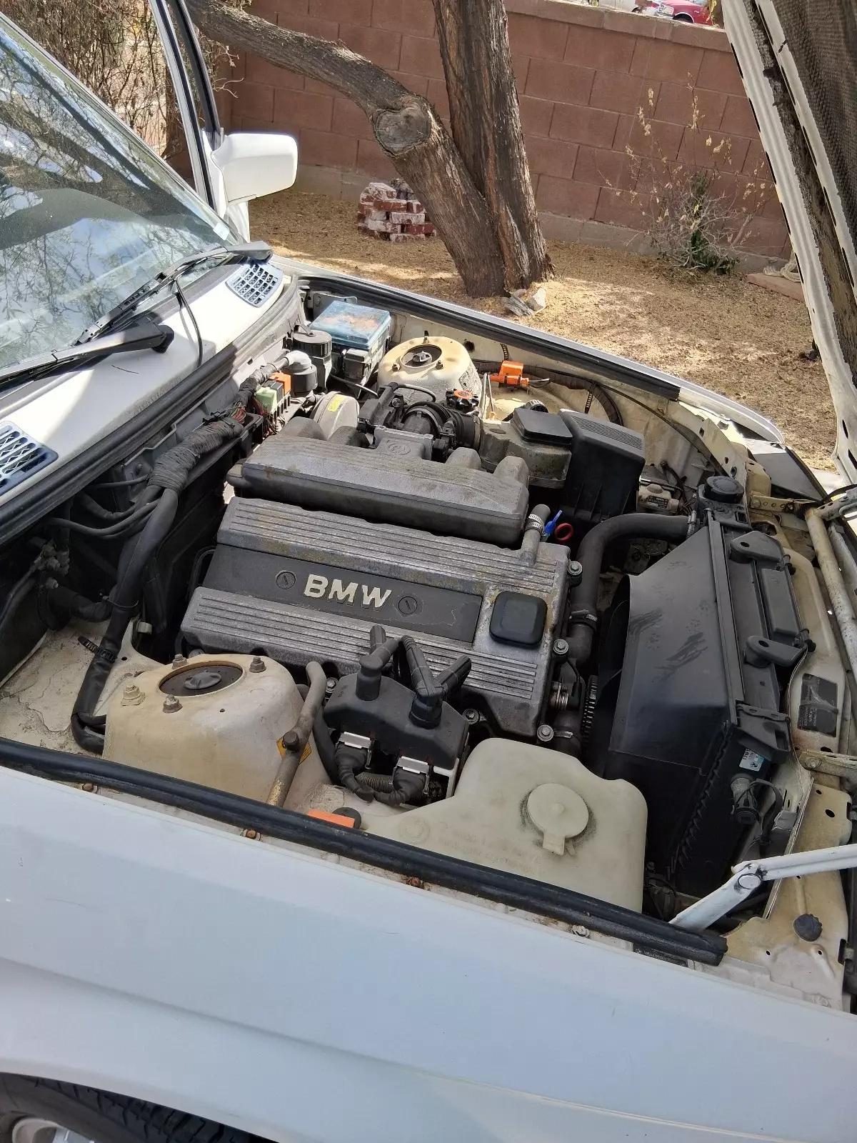 1991 BMW 3-Series - photo 5