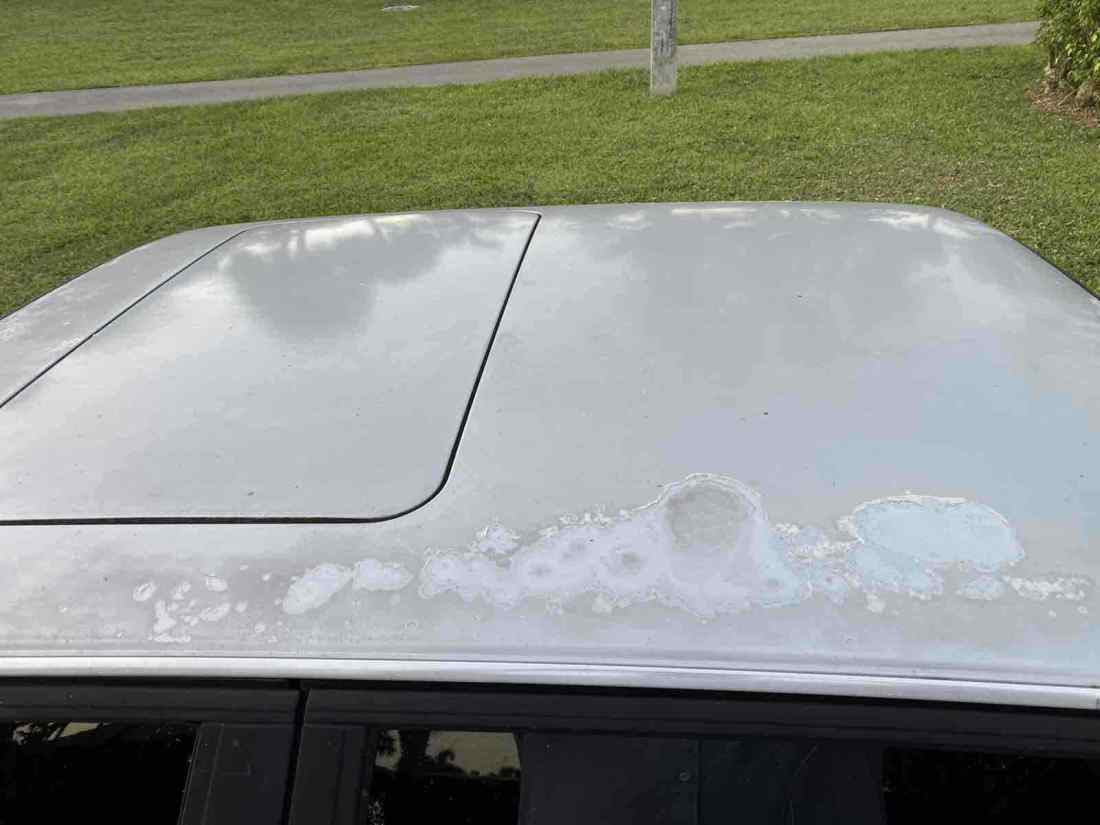 1991 BMW 325iX IX AUTOMATIC - photo 8