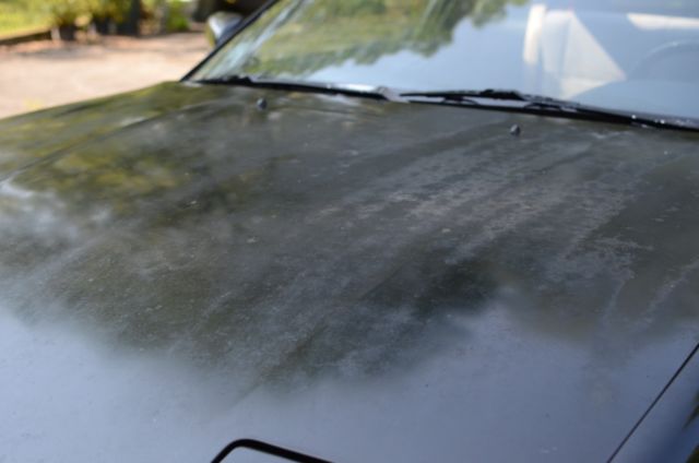 1991 Nissan 240SX - photo 3