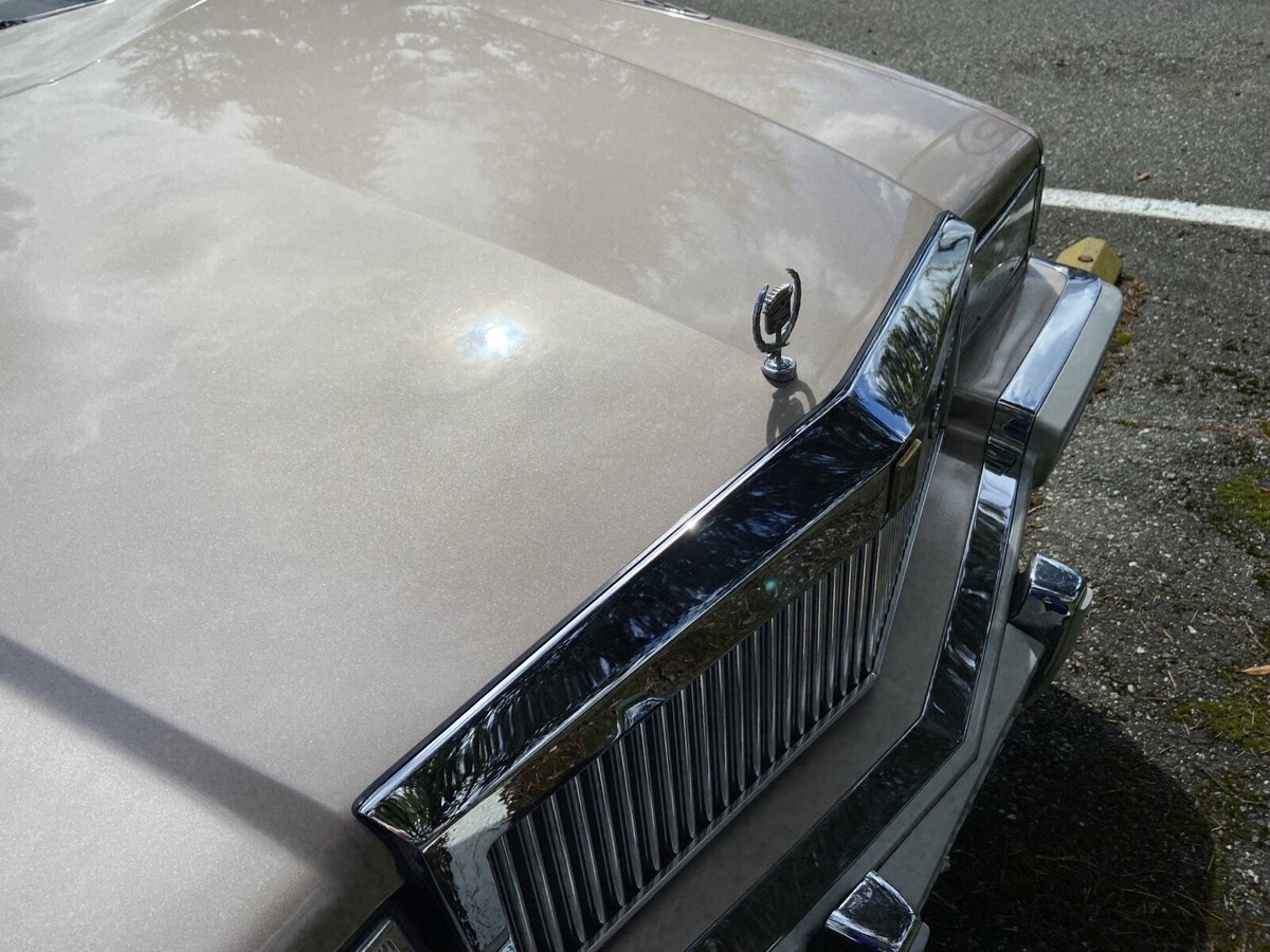 1991 Cadillac DeVille Rare Custom E&G Grill - photo 4