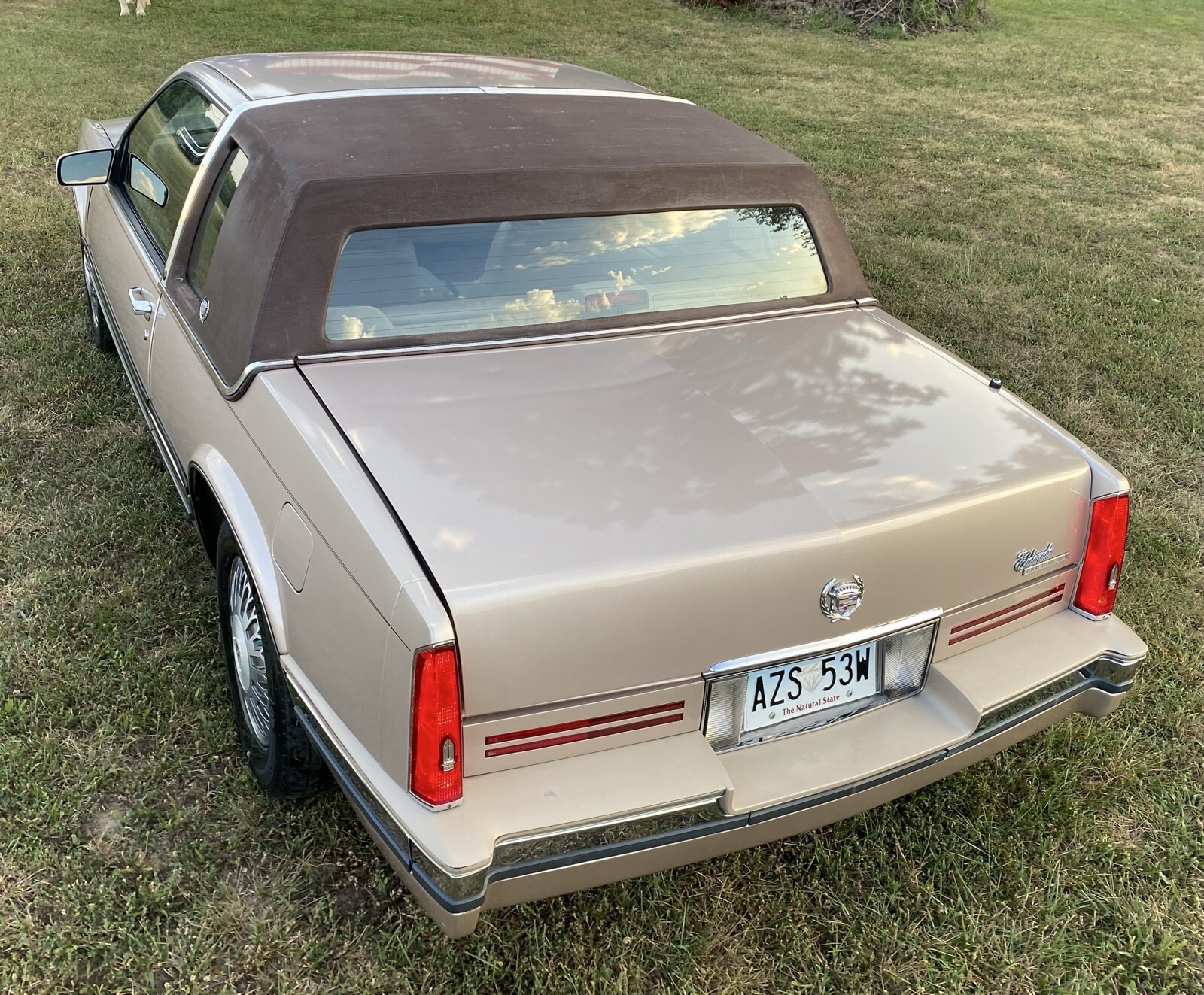 1991 Cadillac Eldorado - photo 5