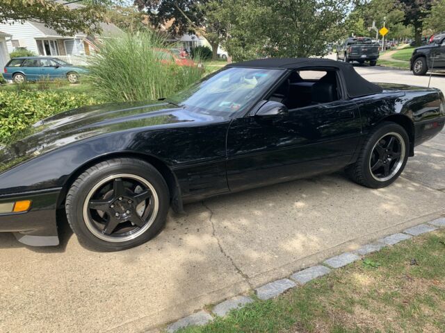 1991 Chevrolet Corvette Convertible 46k original miles! Excellent Shape! NR! 1991 Chevrolet Corvette