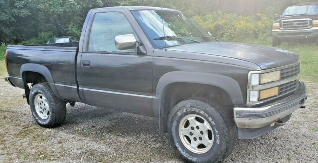 1991 Chevrolet C/K Pickup 1500 5 SPEED MANUAL V8 4x4 - photo 3