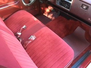 1991 Chevrolet S-10 - photo 6