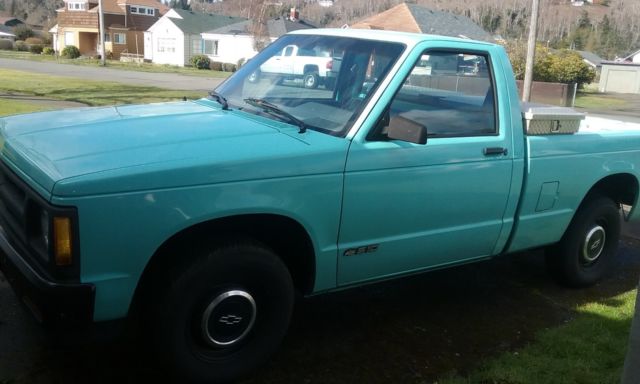 1991 Chevrolet S-10 - photo 11