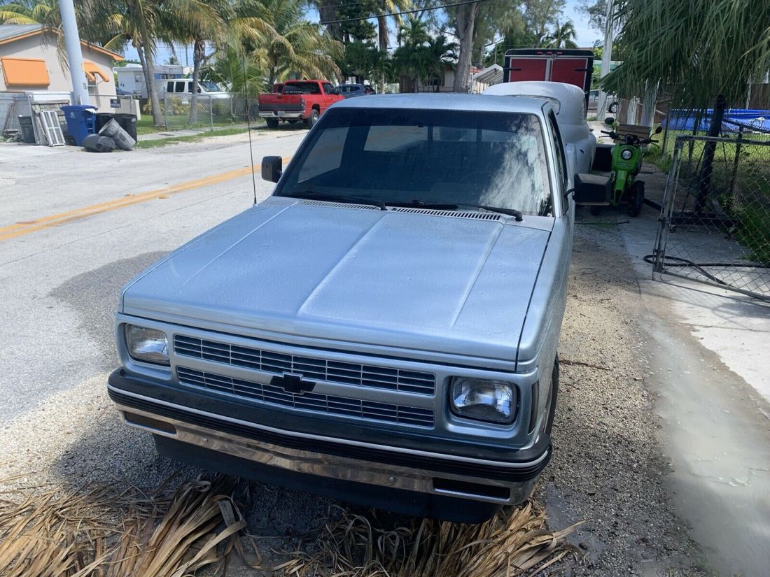 1991 Chevrolet S10 S10 - photo 9