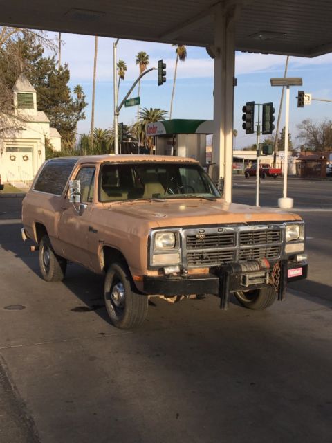 1991 Dodge Ramcharger Police Package - photo 3