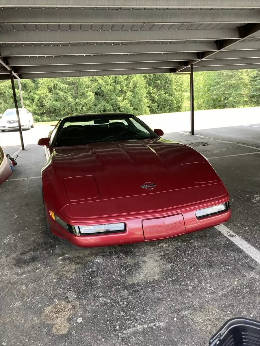 1991 Corvette Hatchback For Sale 1991 Chevrolet Corvette