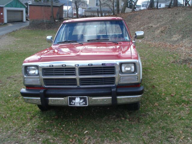 1991 Dodge Other Pickups LE - photo 2
