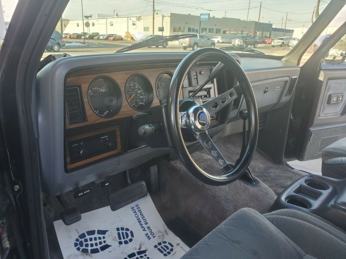 1991 Dodge Ramcharger LE-150 AW-100 SE LOW MILES IN EXCELLENT CONDITION - photo 11