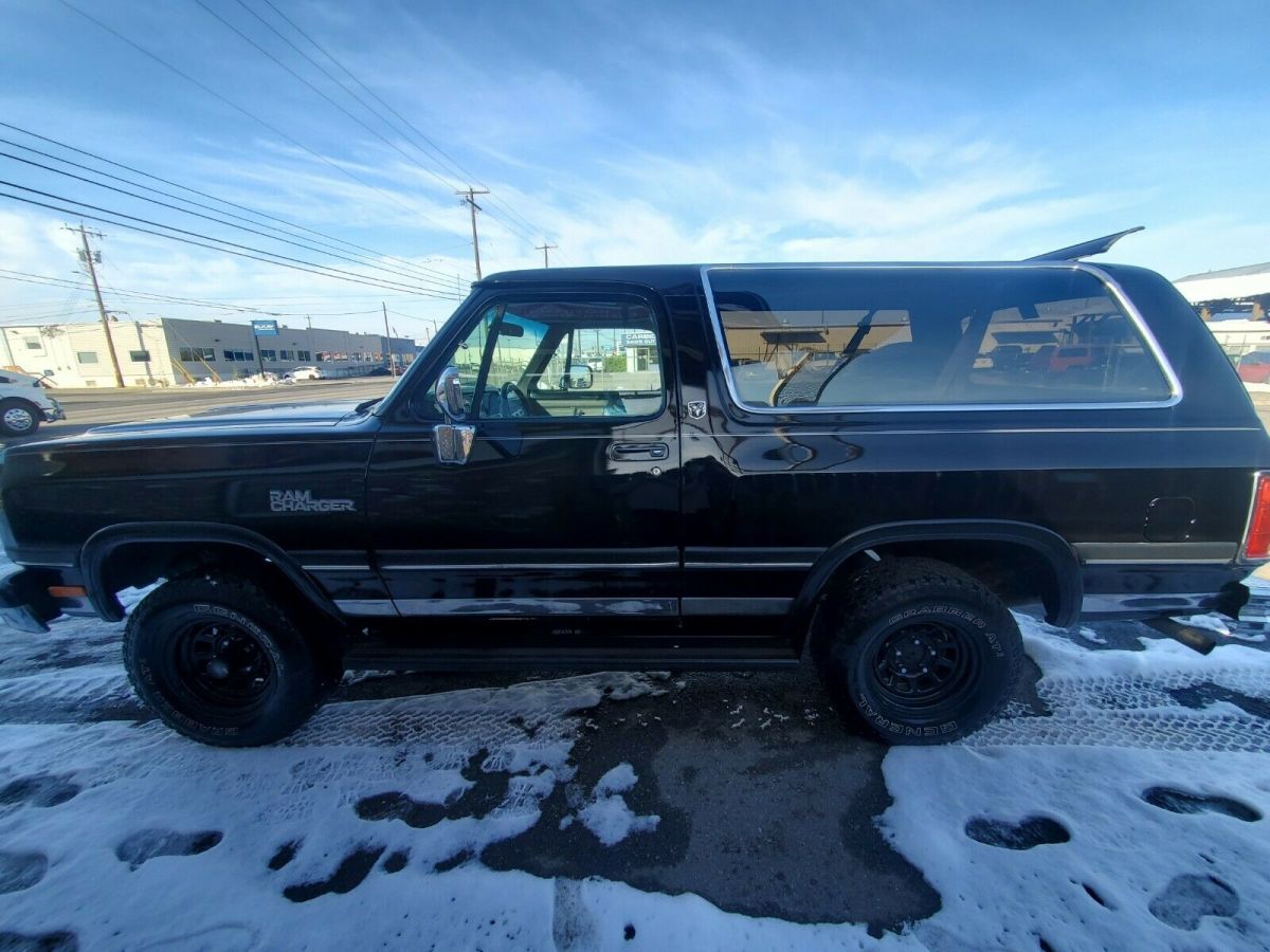 1991 Dodge Ramcharger LE-150 AW-100 SE LOW MILES IN EXCELLENT CONDITION - photo 3