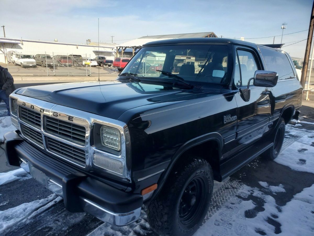 1991 Dodge Ramcharger LE-150 AW-100 SE LOW MILES IN EXCELLENT CONDITION - photo 6