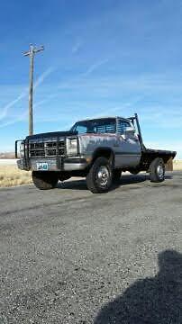 1991 Dodge Other Pickups stock - photo 2