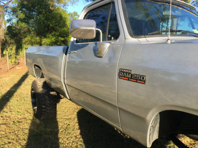 1991 Dodge Other Pickups Base Standard Cab Pickup 2-Door - photo 9