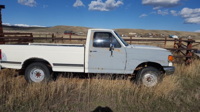 1991 Ford F-150 XLT Regular Cab - photo 2