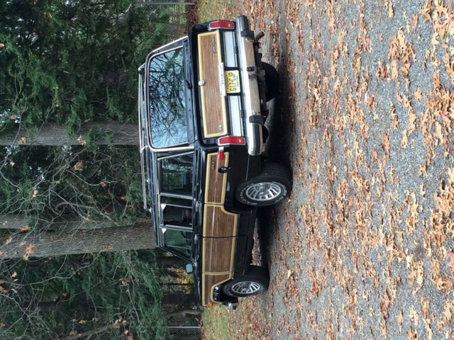 1991 Jeep Wagoneer Grand Wagoneer Final Edition - photo 8