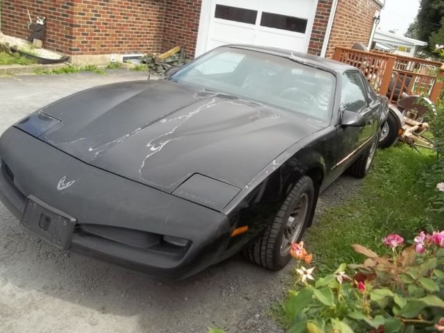 1991 Pontiac Firebird FORMULA WS6 - photo 2