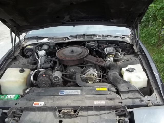 1991 Pontiac Firebird FORMULA WS6 - photo 8
