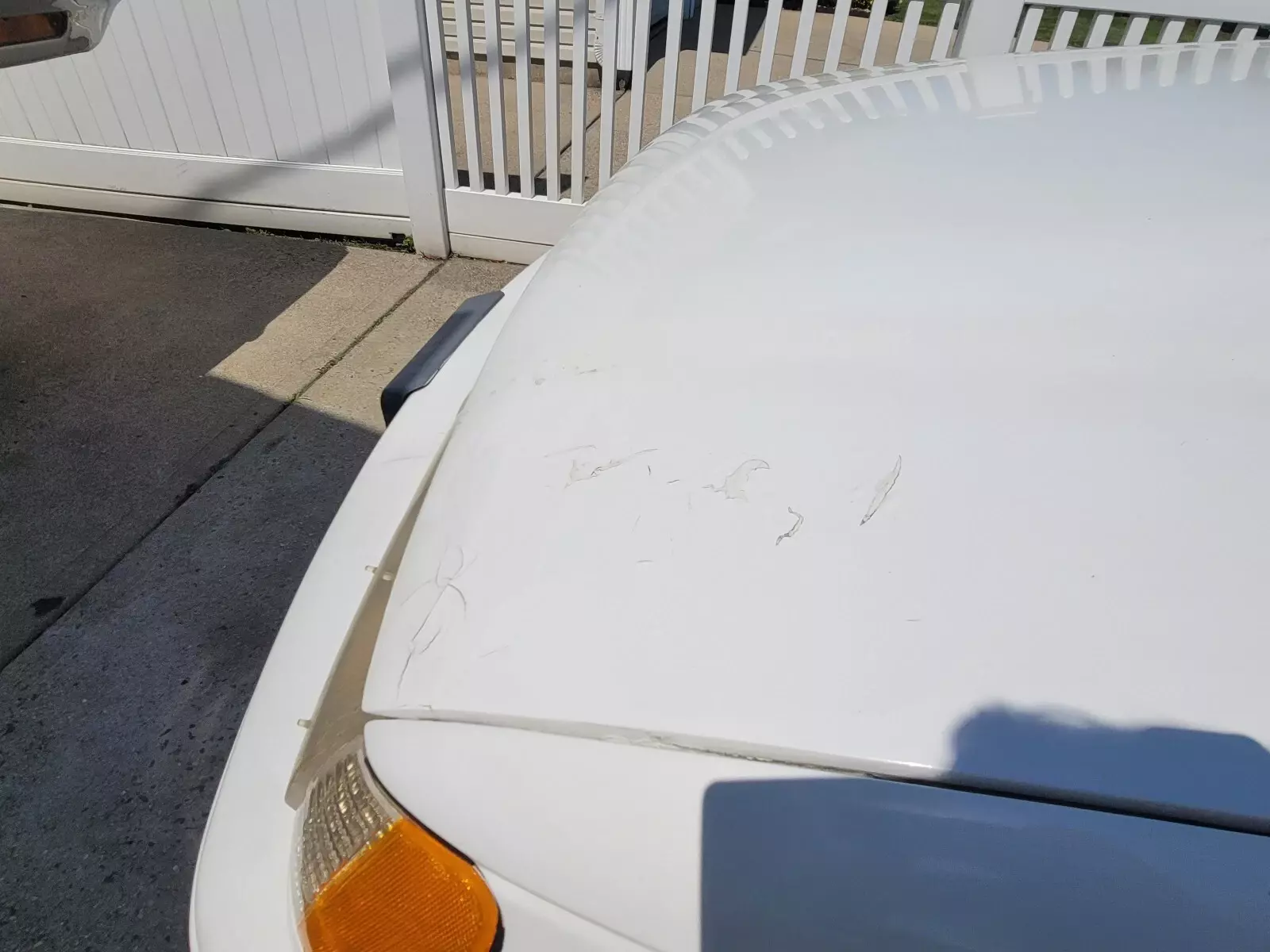 1991 Ford Taurus SHO - photo 6