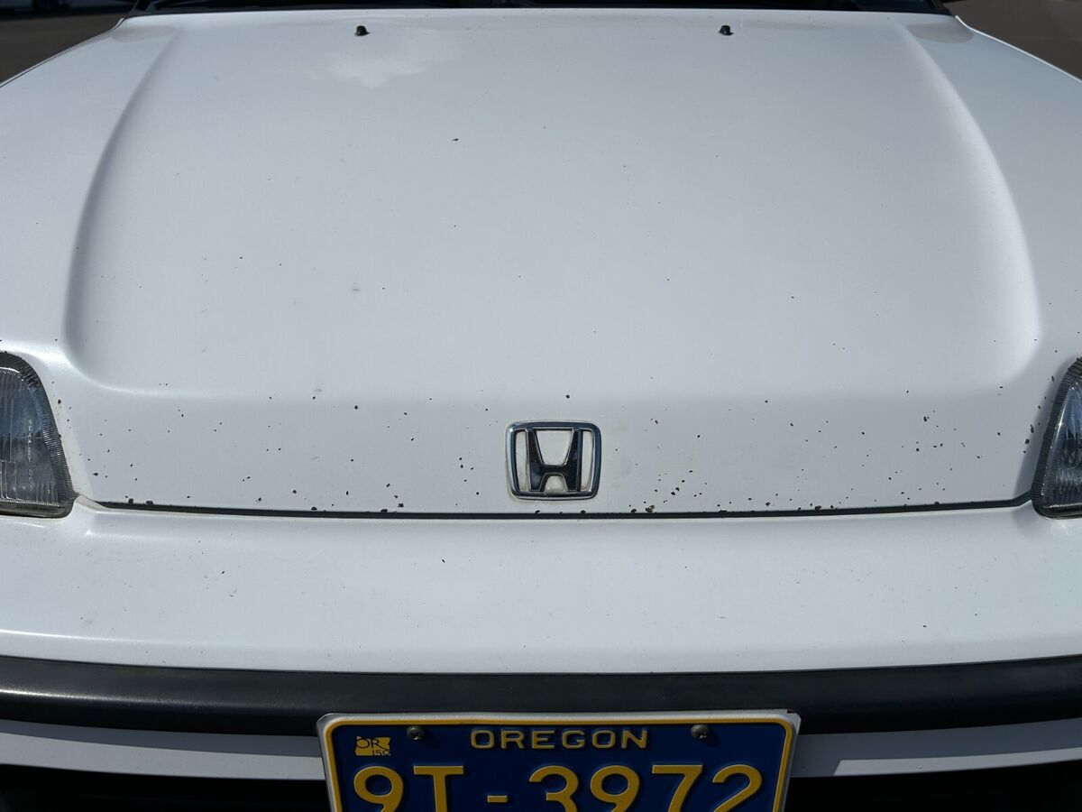 1991 Honda CRX - photo 6