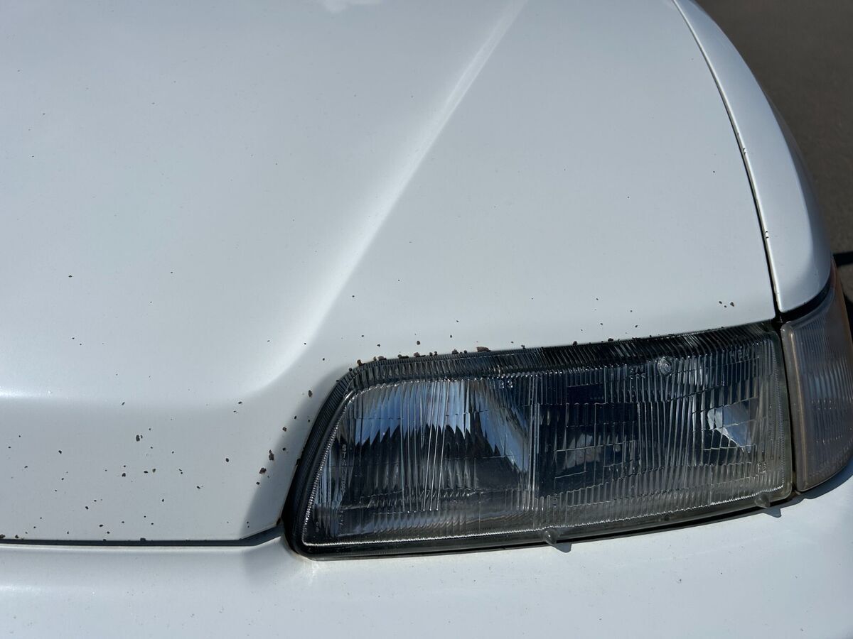1991 Honda CRX - photo 7