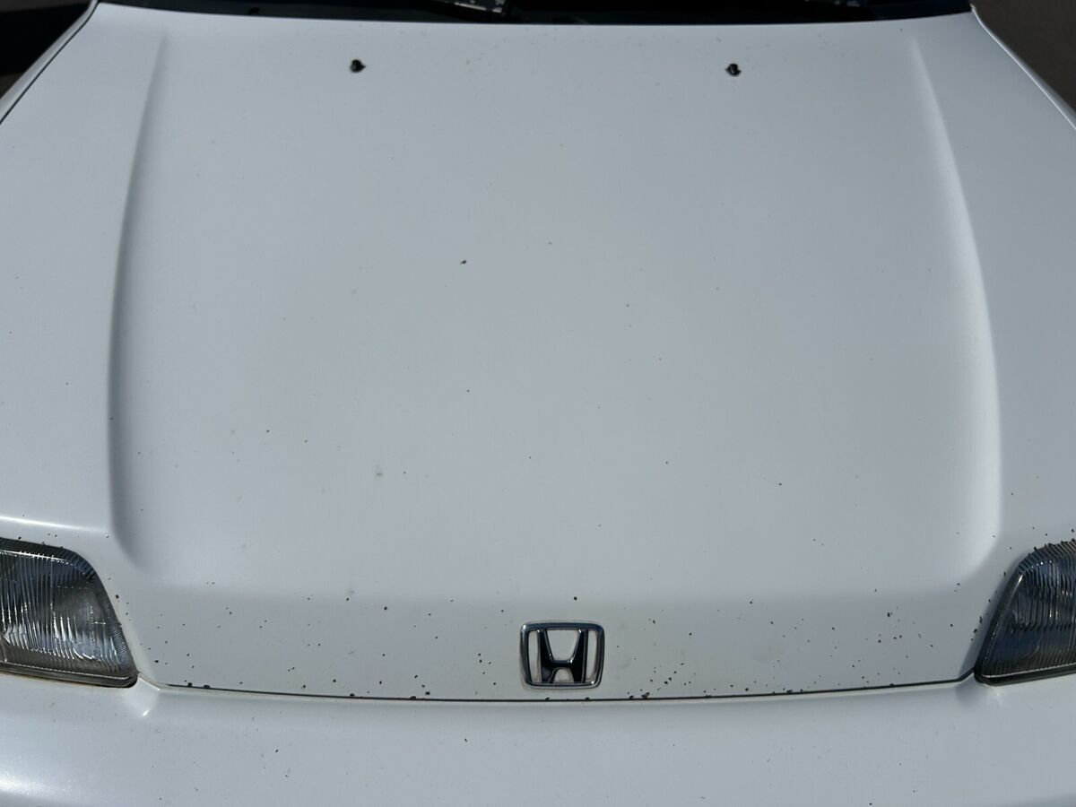 1991 Honda CRX - photo 8